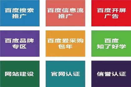 某企业通过百度广告实现品牌提升的历程