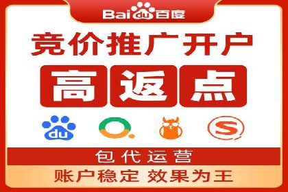搜索引擎营销（SEM）成功运营的五大案例